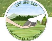 les chevaux du clos de la gardille pension en paddock paradise