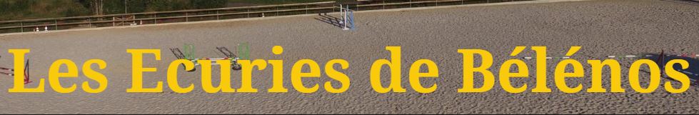 pension chevaux les écuries de bélénos