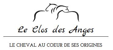 le clos des anges écurie de propriétaires pension pour chevaux