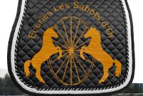 écurie les sabots d'or pension chevaux près de Nantes
