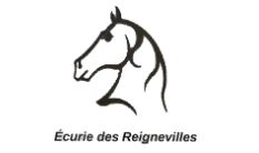 écurie des reignevilles pension chevaux