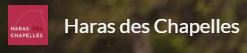 haras des chapelles écurie de propriétaires loiret