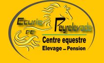 écurie de peyrelevade centre équestre et pension chevaux