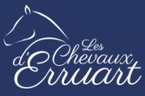 les chevaux d'erruart