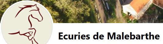 écuries de Malebarthe pension pour chevaux
