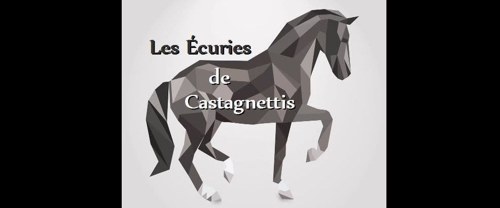les écuries de castagnettis pension chevaux