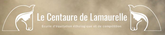 le centaure de lamaurelle pension chevaux
