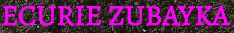 écurie zubayka