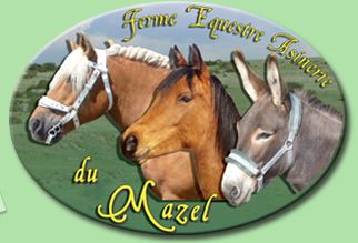 ferme équestre asinerie du mazel