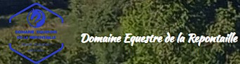 domaine équestre de la repontaille pension chevaux manche