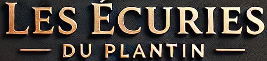 les écuries du plantin pension cheval manche