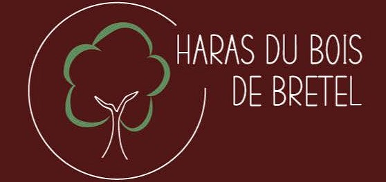 haras du bois de bretel pension chevaux au coeur de la normandie