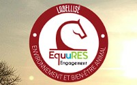 écurie l'arche de noel pension pour chevaux en meurthe et moselle