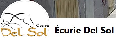 écurie del sol pension chevaux meurthe et moselle