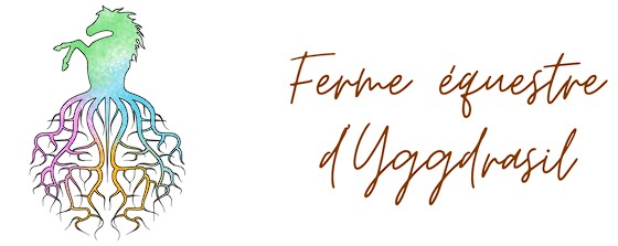 ferme équestre d'yggdrasil pension pour chevaux