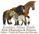 écuries aline ruth