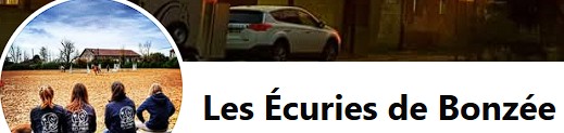 les écuries de bonzée pension chevaux dans la meuse
