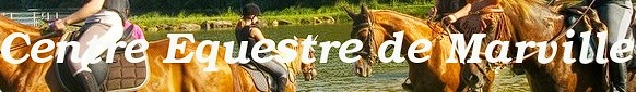 centre équestre de marville pension pour chevaux dans la meuse