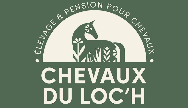 chevaux du loc'h elevage et pension pour chevaux morbihan