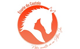 ecurie du Castelo pension chevaux morbihan
