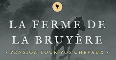 la ferme de la bruyere pension pour chevaux morbihan