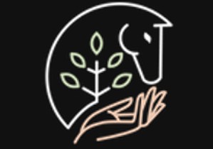 domaine little paradise pension chevaux en paddock paradise dans le morbihan