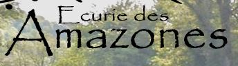 écurie des amazones
