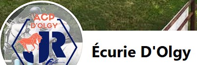 écurie d'Olgy pension pour chevaux en moselle