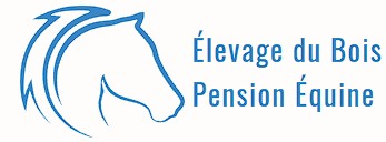 élevage du bois pension équine moselle