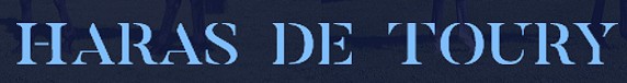 haras de Toury pension chevaux dans la Nièvre