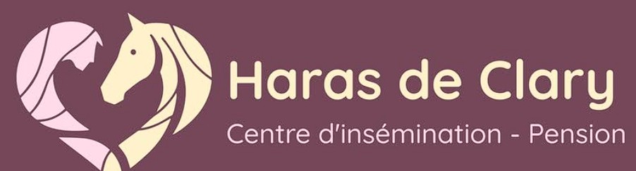 haras de clary pension pour chevaux dans le nord