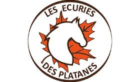 les écuries des platanes pension pour chevaux dans l'Oise