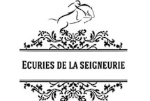 les écuries de la seigneurie pension pour chevaux dans l'oise