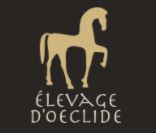 elevage d'oeclide