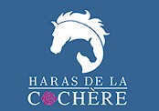 haras de la cochère pension pour chevaux dans l'orne