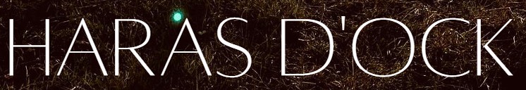 Haras d'Ock pension pour chevaux dans l'orne