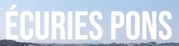 les écuries Pons pension pour chevaux dans les pyrénées-atlantiques