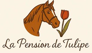 la pension de tulipe pension pour chevaux dans les pyrénées-atlantiques