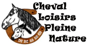 cheval loisirs pleine nature
