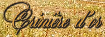crinière d'or