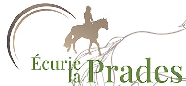 écurie la Prades pension pour chevaux dans les pyrénées orientales
