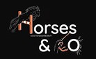 Horses and co pension pour chevaux dans les pyrénées orientales