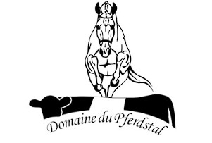 domaine du pferdstat pension pour chevaux dans le bas-rhin 67