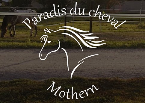 Paradis du cheval pension pour chevaux dans le bas-rhin 67