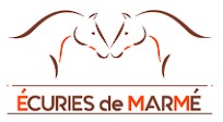 les écuries de Marmé pension pour chevaux dans le rhone