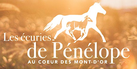 les écuries de pénélope pension pour chevaux dans le rhone