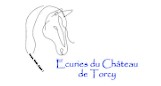 écuries du chateau de torcy pension pour chevaux dans la saone-et-loire