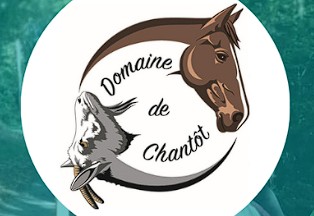 domaine de chantot pension pour chevaux dans la saone-et-loire