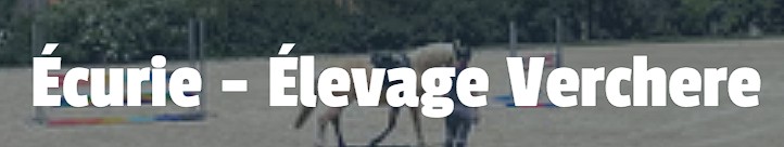 écurie la verchère pension pour chevaux dans la saone-et-loire