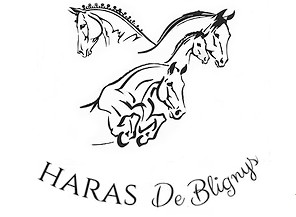 haras de Blignys pension pour chevaux dans la saone-et-loire